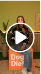 UGC profesionalizado – mejores anuncios Meta Ads 2025